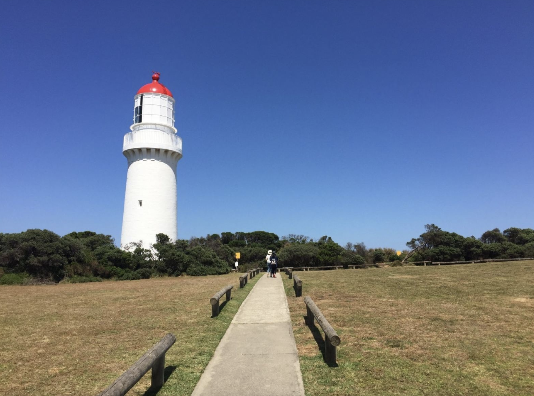 One Day Great Ocean Road & 12 Apostles Tour -14 seater Mercedes-Benz Sprinter