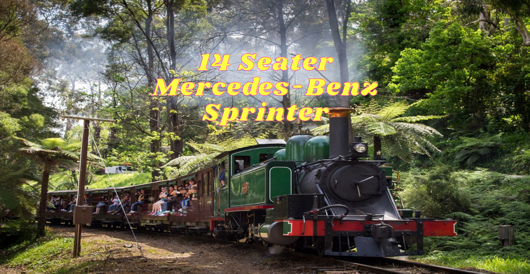 One Day Puffing Billy & Phillip Island Penguin Parade Tour -14 seater Mercedes-Benz Sprinter