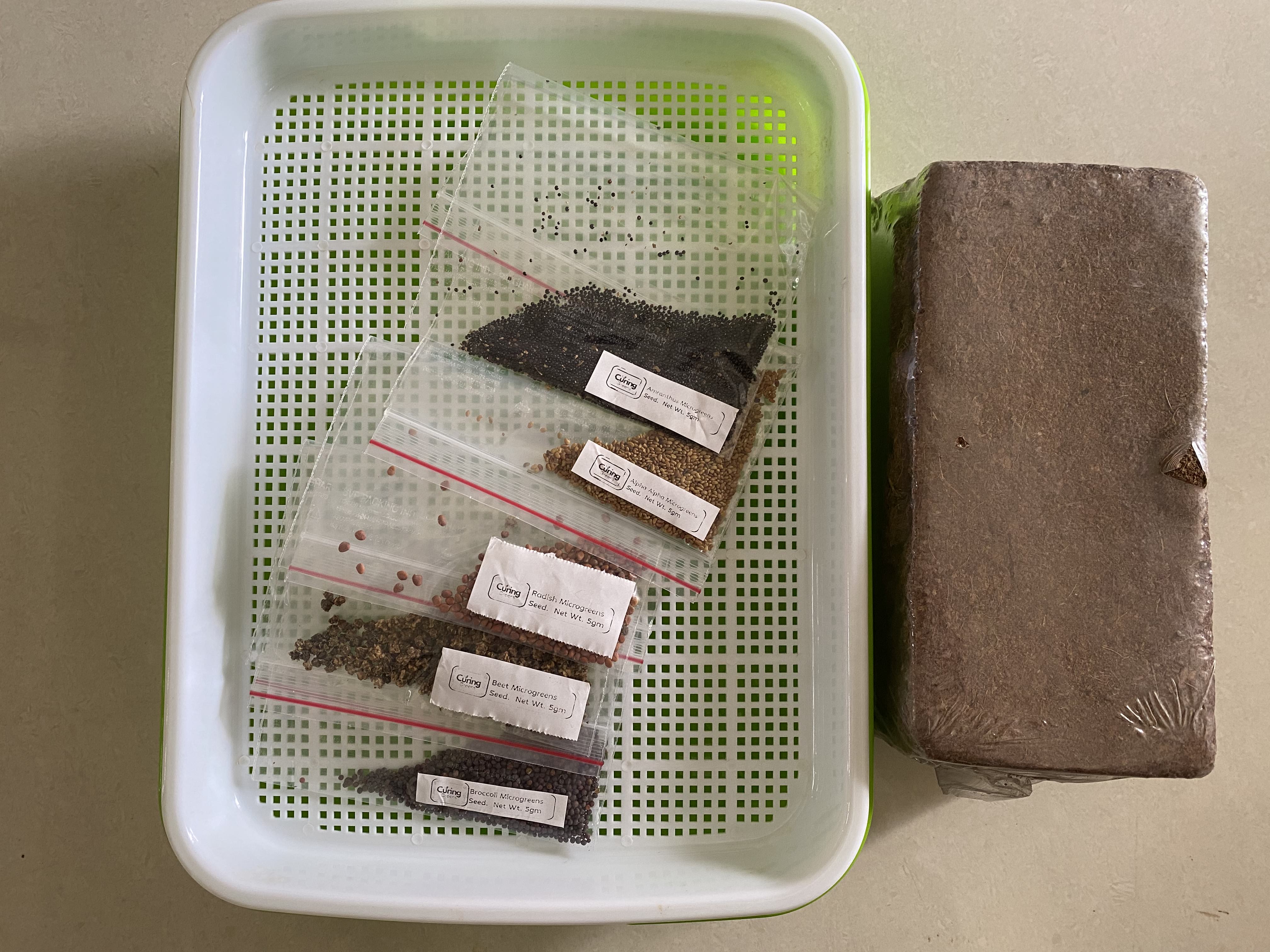 Microgreens Growing Kit