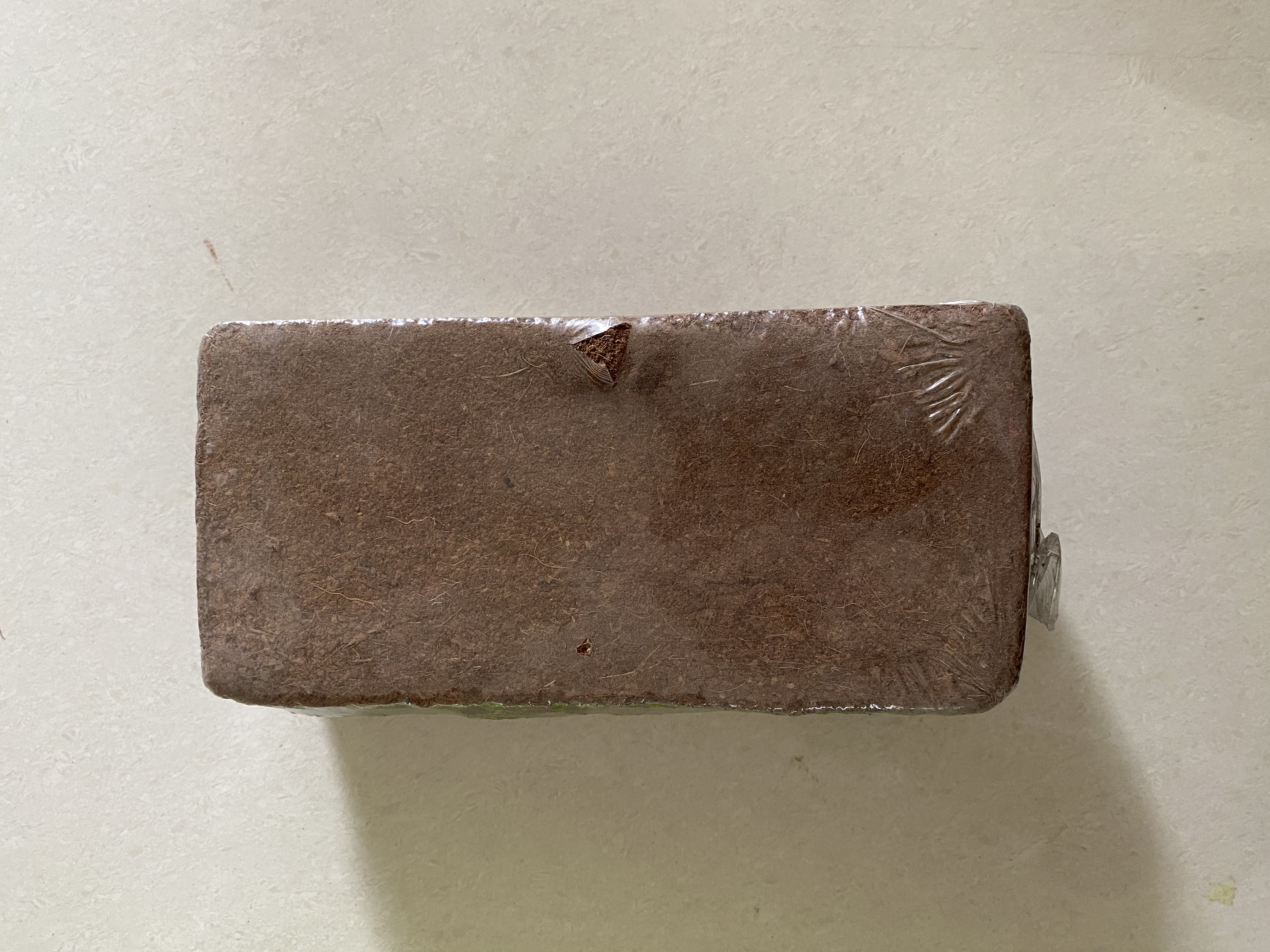 Microgreens Growing Kit