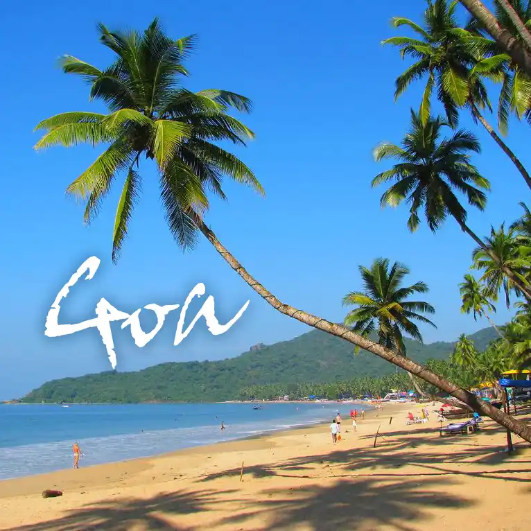 Indian Visa Application