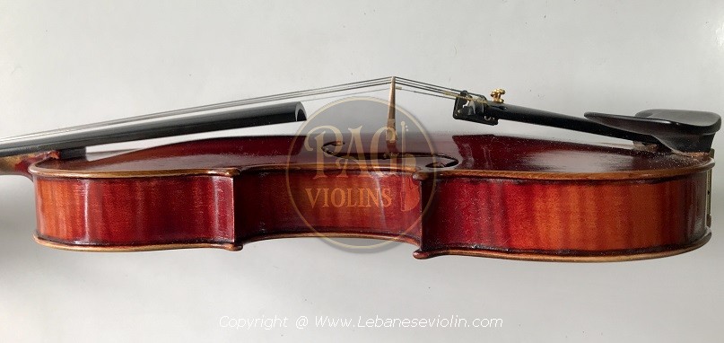 PAGVIOLIN no 62