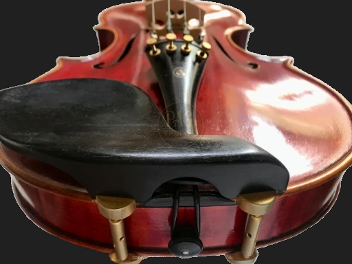 PAGVIOLIN no 66