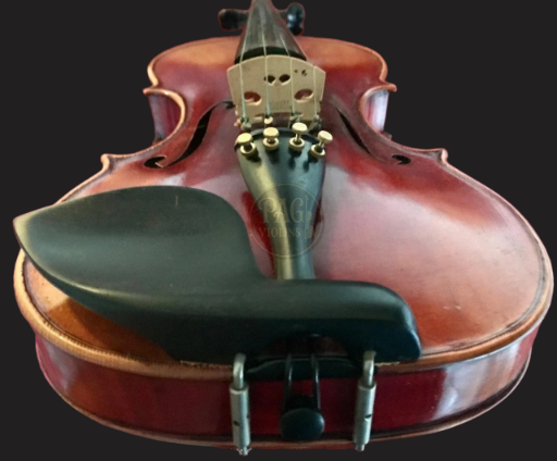 PAGVIOLIN no 5