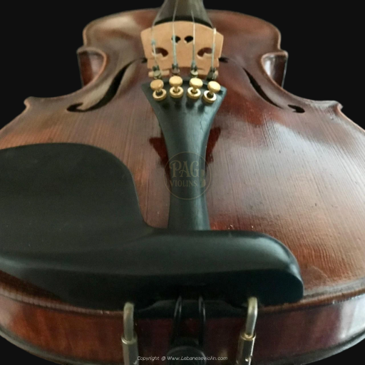 Baptista Ceruti 1868
