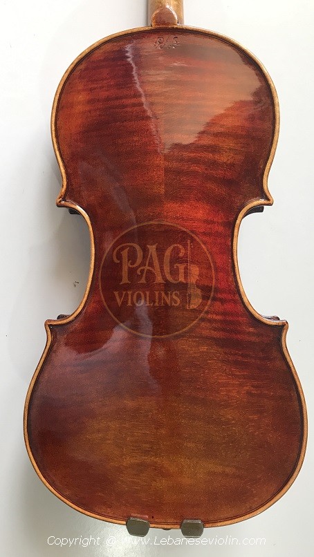 PAGVIOLIN no 134