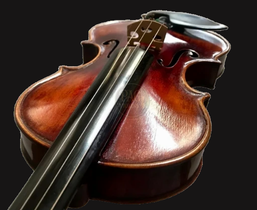 PAGVIOLIN no 74