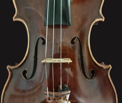 PAGVIOLIN no 64