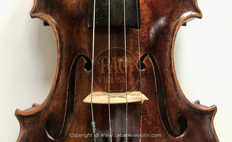 PAGVIOLIN no 81