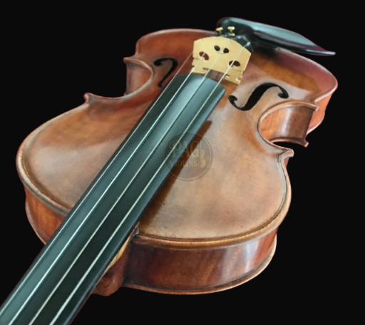 PAGVIOLIN no 121