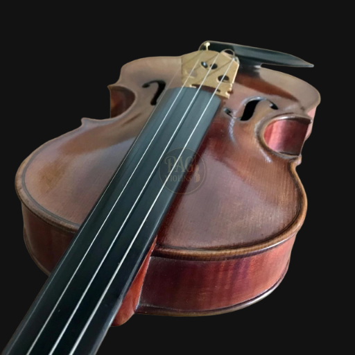 Stradivarius Anno 17 copy