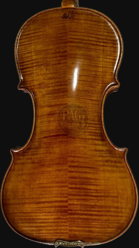 PAGVIOLIN no 110