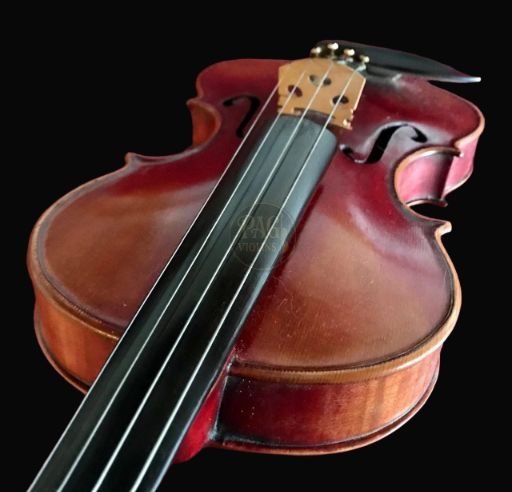 PAGVIOLIN no 5