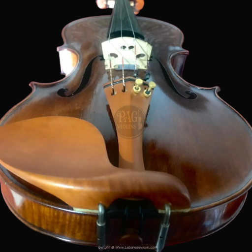 PAGVIOLIN no 123