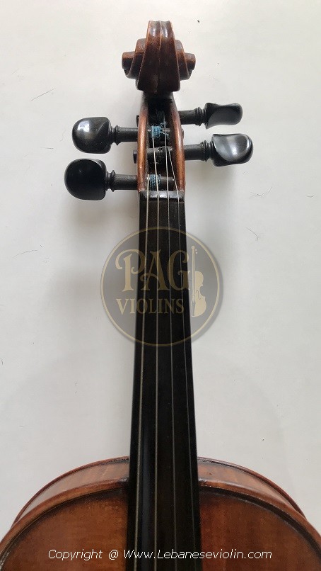 PAGVIOLIN no 117