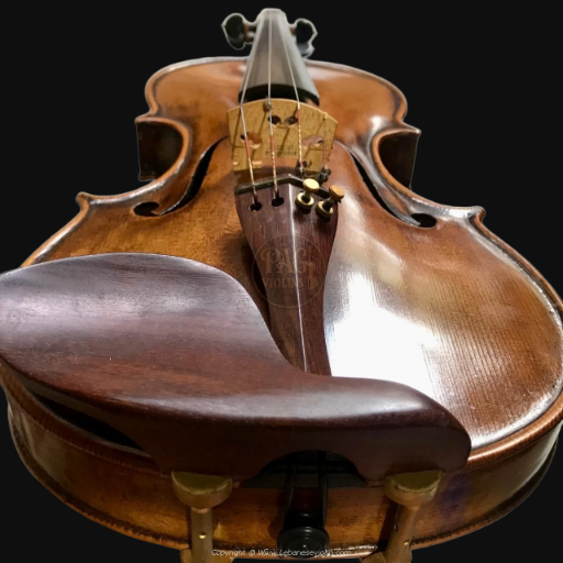 PAGVIOLIN no 56