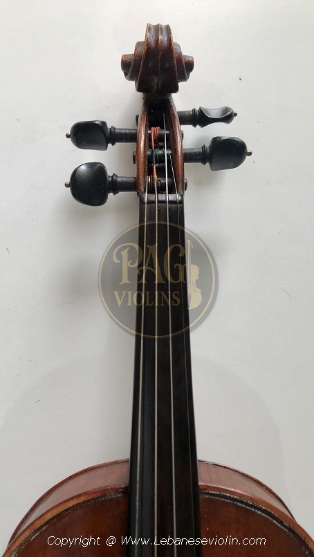 PAGVIOLIN no 125
