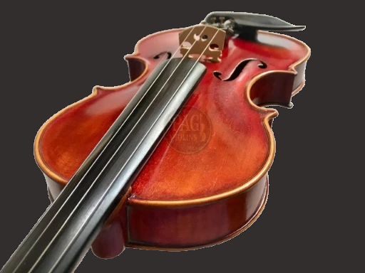 PAGVIOLIN no 66