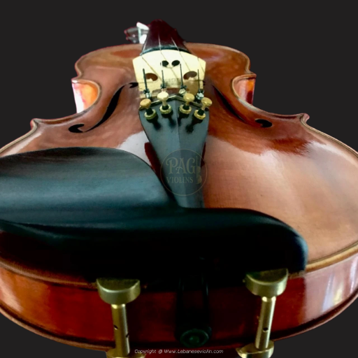 PAGVIOLIN no 71