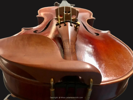 PAGVIOLIN no 141