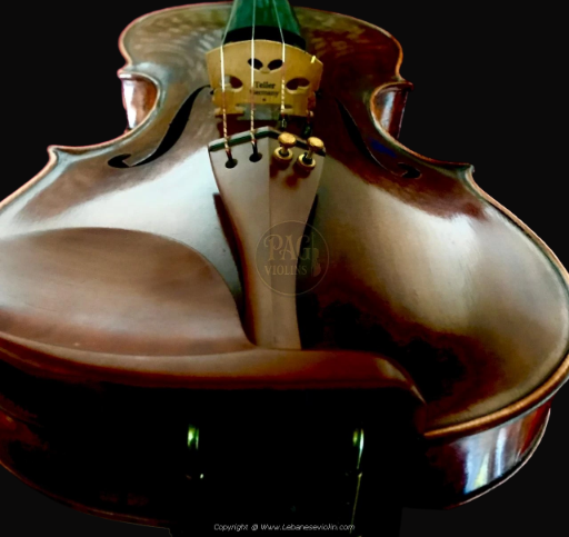 PAGVIOLIN no 136