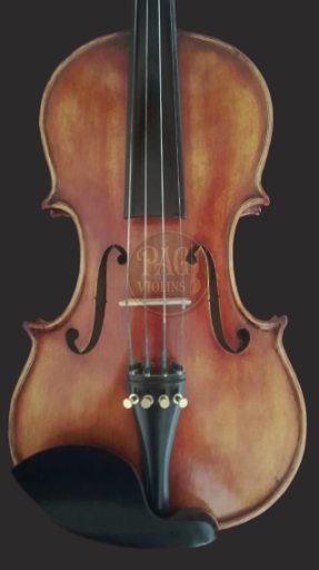 PAGVIOLIN no 116