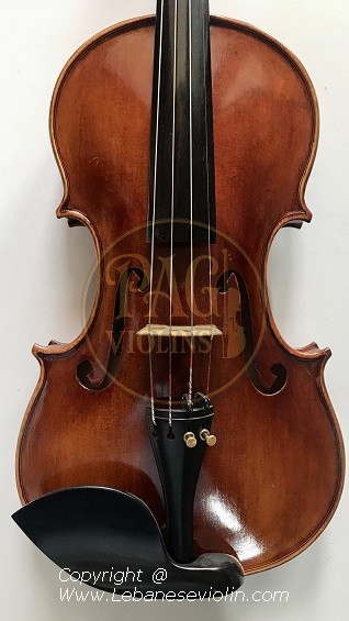 PAGVIOLIN no 114