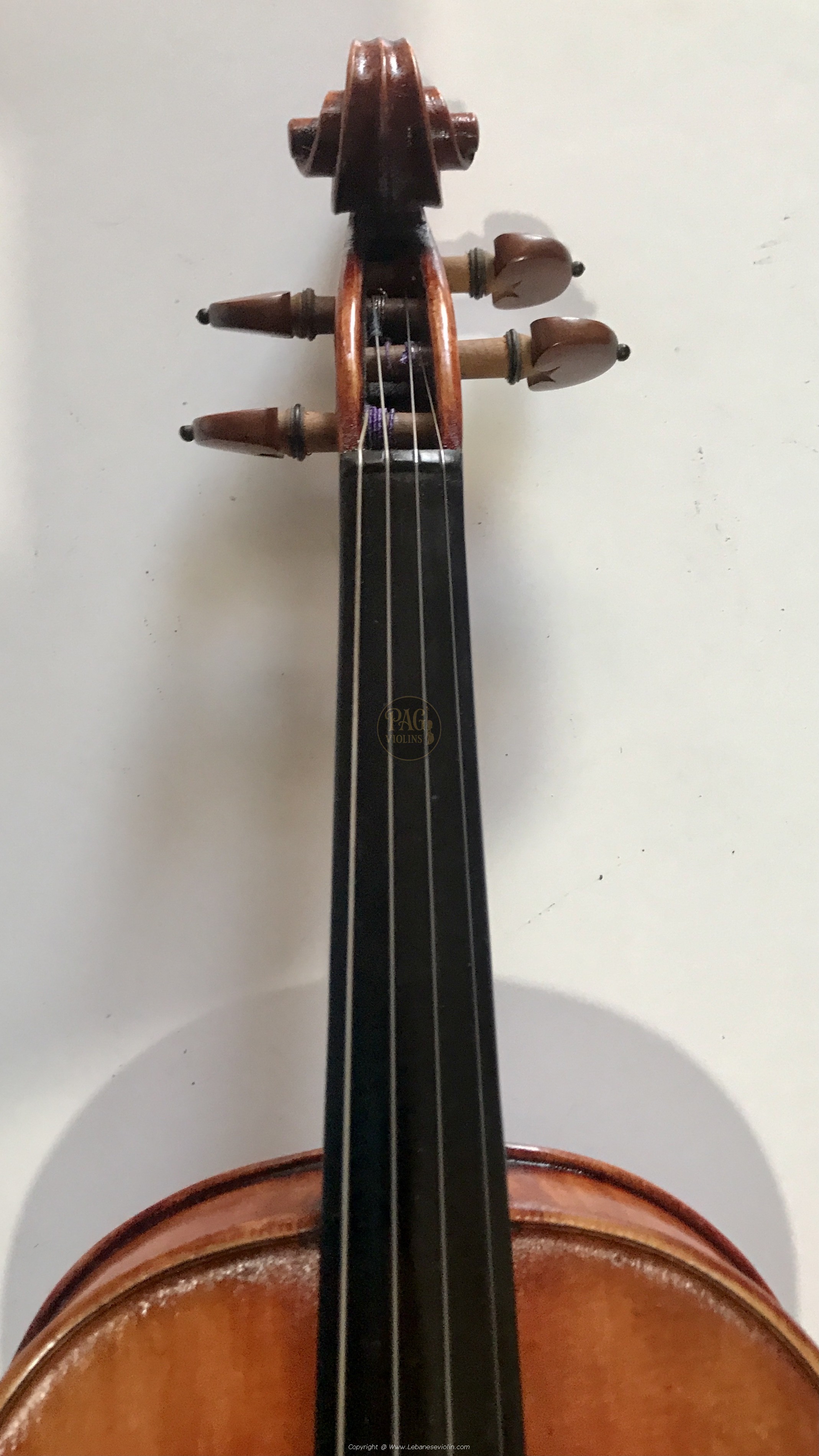 PAGVIOLIN no 151
