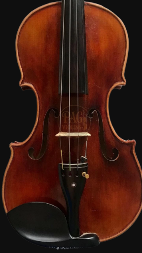PAGVIOLIN no 145