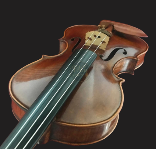 PAGVIOLIN no 136