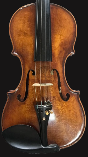 PAGVIOLIN no 110