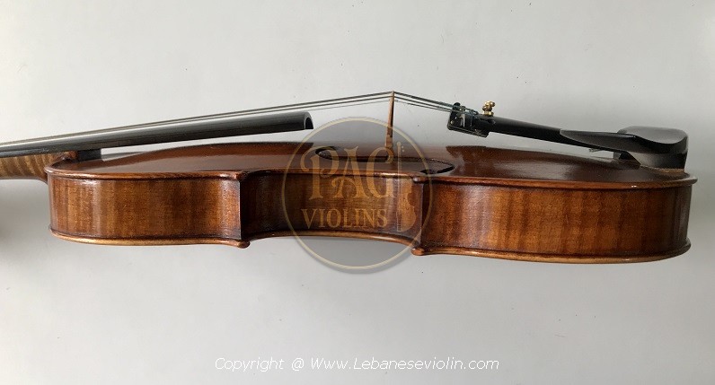PAGVIOLIN no 117