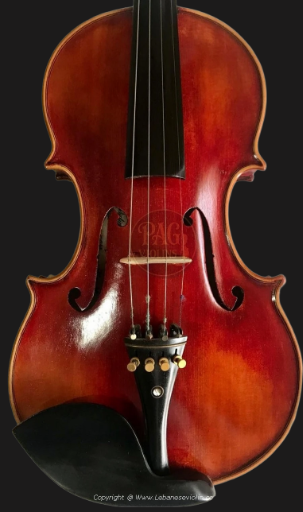 PAGVIOLIN no 66