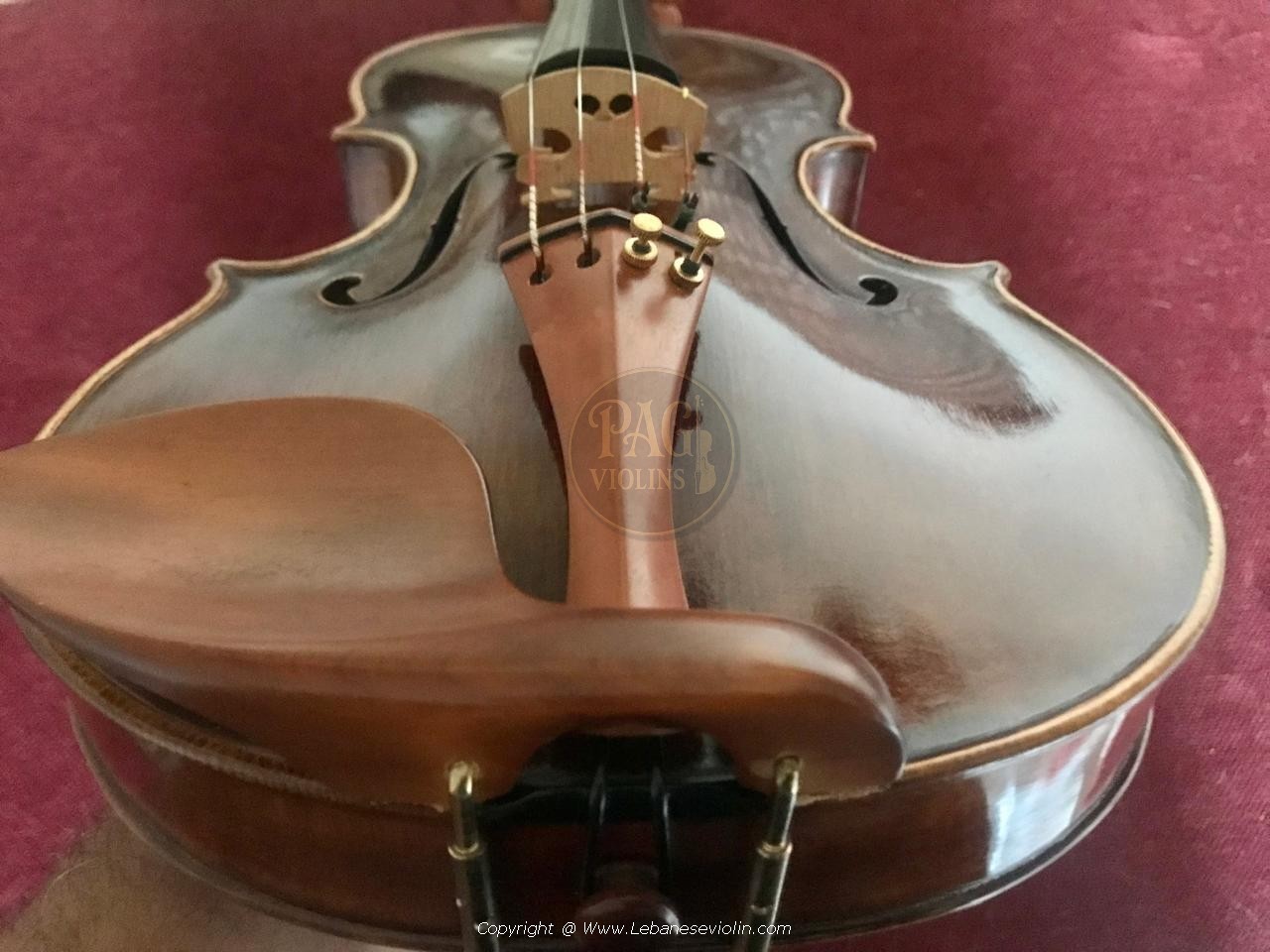 PAGVIOLIN no 64