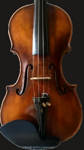 PAGVIOLIN no 109