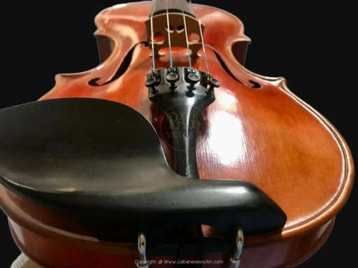 PAGVIOLIN no 133