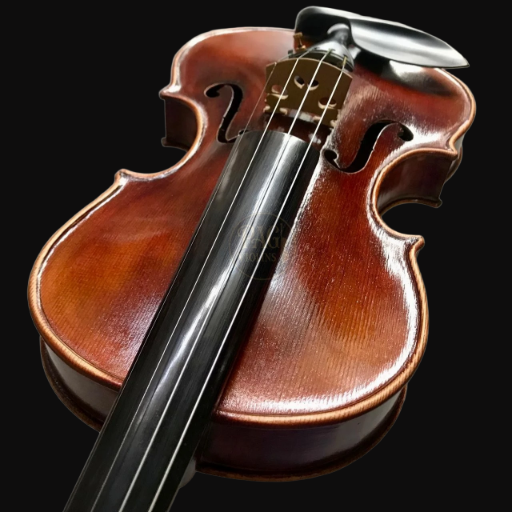 PAGVIOLIN no 145