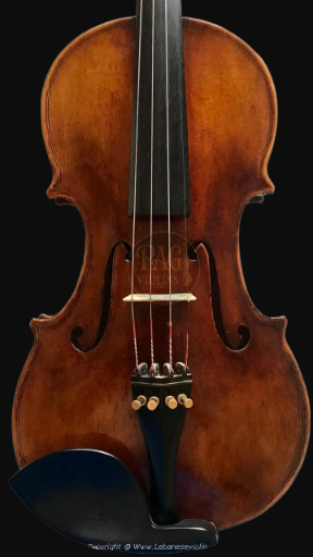 PAGVIOLIN no 16