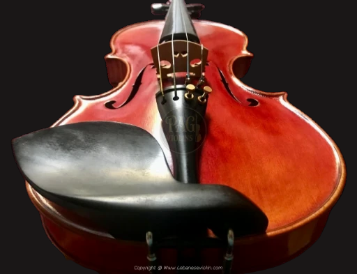 PAGVIOLIN no 70 