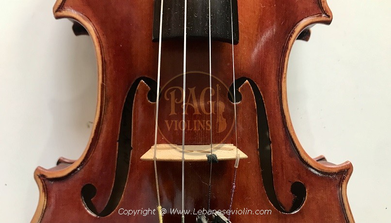 PAGVIOLIN no 147