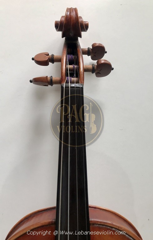 PAGVIOLIN no 147