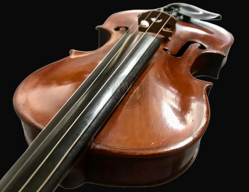 PAGVIOLIN no 1