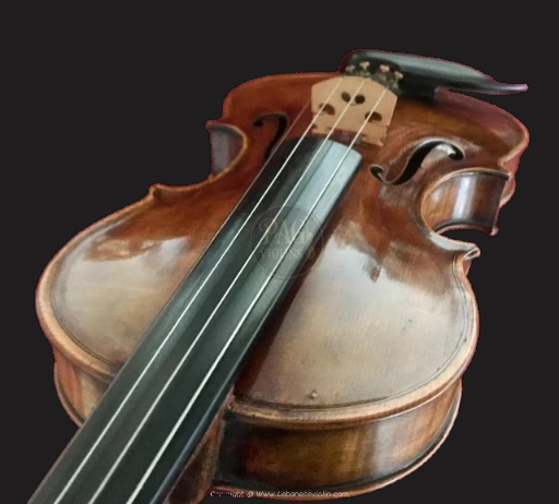 PAGVIOLIN no 28