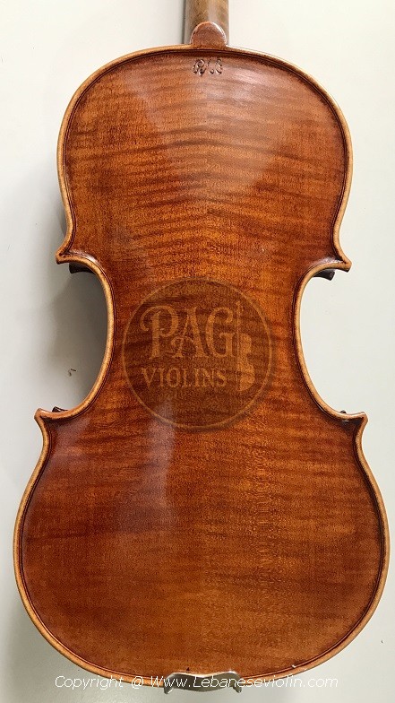 PAGVIOLIN no 117