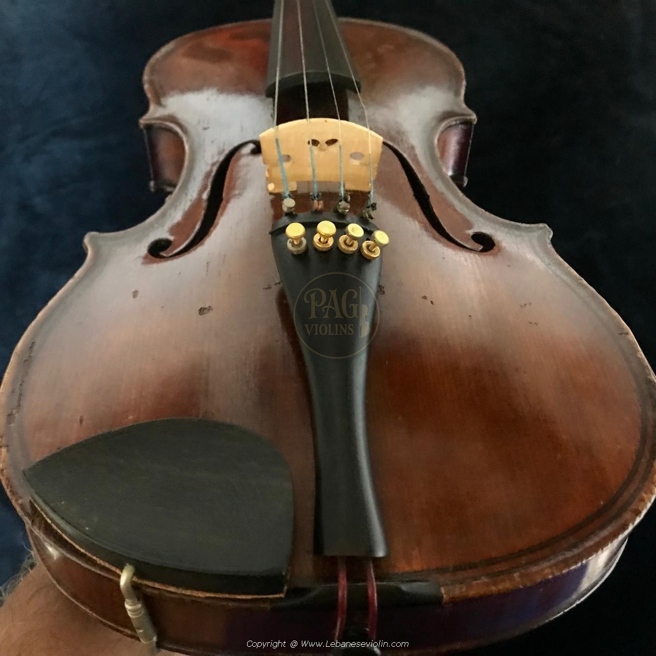 Paolo Magini 1698