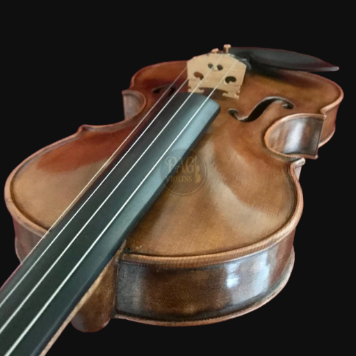 PAGVIOLIN no 78