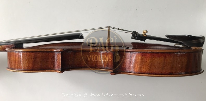 PAGVIOLIN no 63