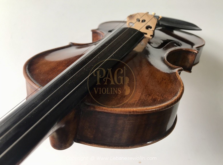 PAGVIOLIN no 81