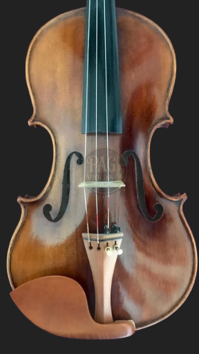 PAGVIOLIN no 123