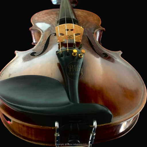 PAGVIOLIN no 26